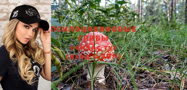 ешки Краснотурьинск